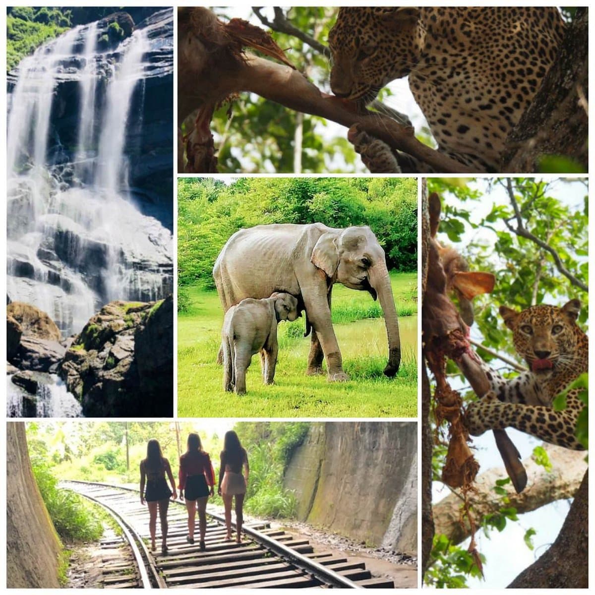 Blue Haven Tours travel moment 9