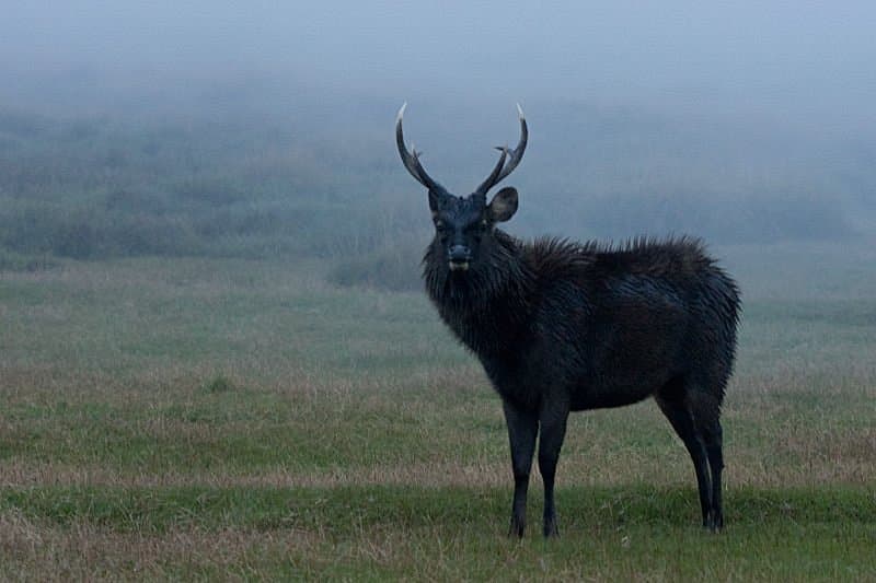 Horton Plains